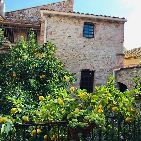 La Vieille Demeure Otel Torreilles Dış mekan fotoğraf